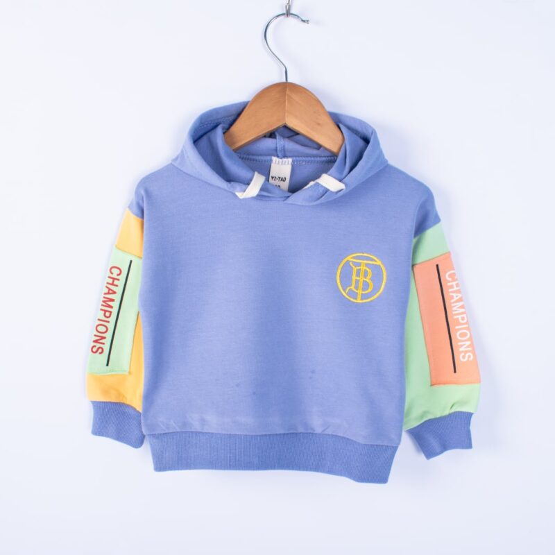 Baby/Toddler Boy Trendy Multi-Color Summer Hooded Pullover - Blue