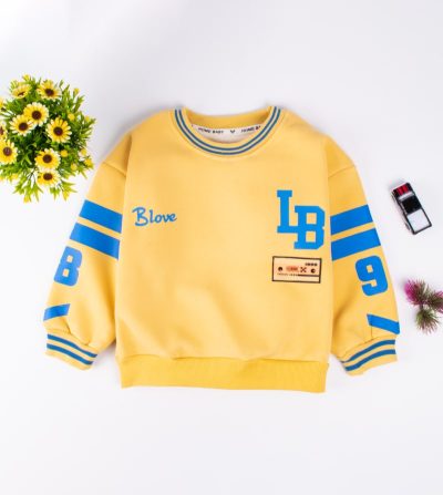 Toddler Boy Letter Print Casual Fleece Pullover Sweatshirt - Yellow