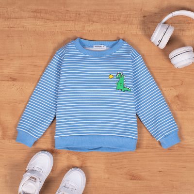 Baby Boy/Girl Dino Print Striped Fleece Pullover Sweatshirt - Blue