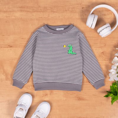 Baby Boy/Girl Dino Print Striped Fleece Pullover Sweatshirt - Grey