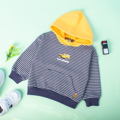 Baby/Toddler Boy 1977 Land Cruise Print Striped Hoodie Pullover - Dark Green