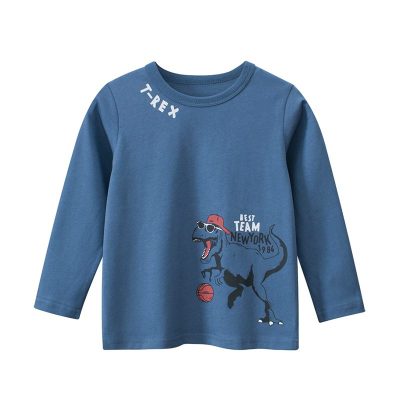 Kid Boy Basketballer Dino Print Solid Color Long Sleeve Tee - Kashmir Blue