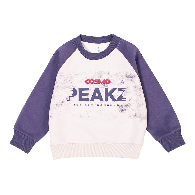 Kids Letter Print Colorblock Full Sleeve Warm Fleece Pullover Sweatshirt - Purple