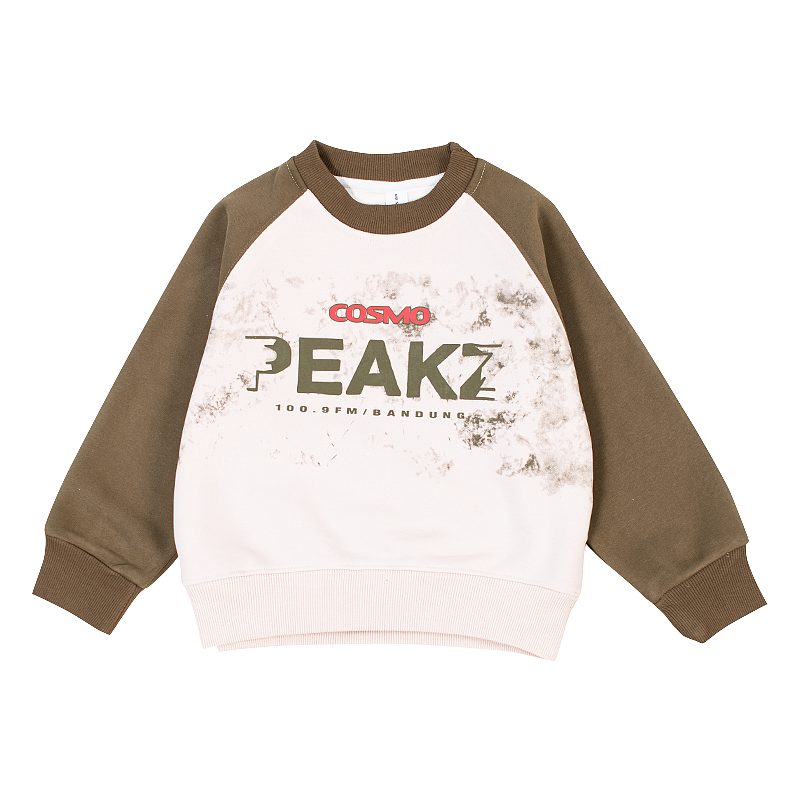 Kids Letter Print Colorblock Full Sleeve Warm Fleece Pullover Sweatshirt - Green