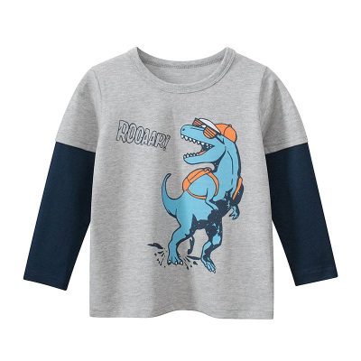 Kid Boys Roar Dino Print Colorblock Long Sleeve Tee - Grey